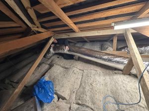 Ducted Heat Pump and Ventilation Wellington